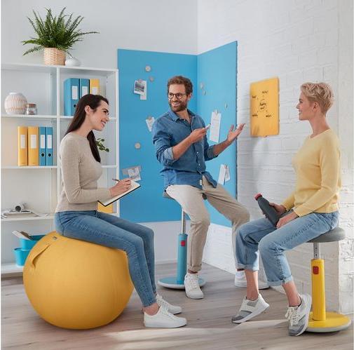 Actual product image Leitz Ergo Cosy Active sitting ball (65 cm)