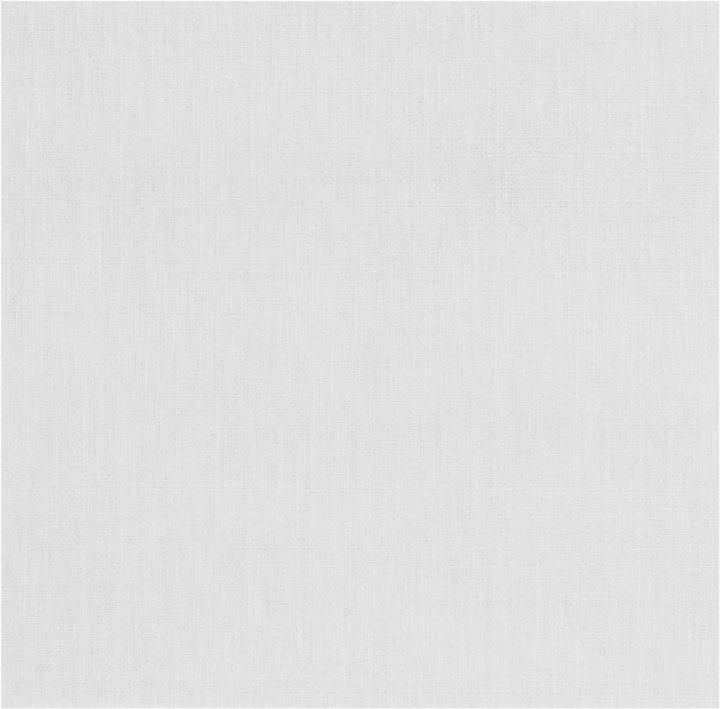 Produktbild The Napkins Papierservietten (15 x, 40 x 40 cm)