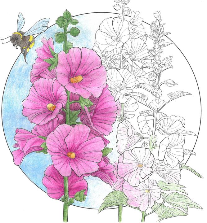 Image du produit Color & Cut - Fleurs