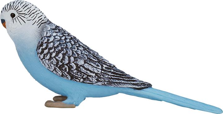 Animal Planet pappagallino