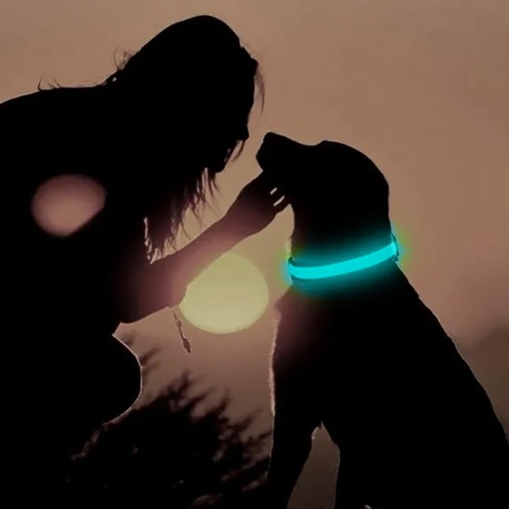 Produktbild Cbx Aufladbares LED-Hundehalsband Grösse XL - 53-57cm (XL, Hund)