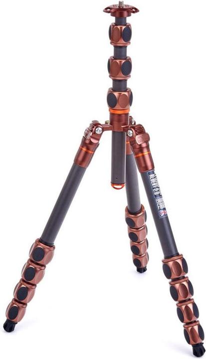 Albert Bronze Carbon