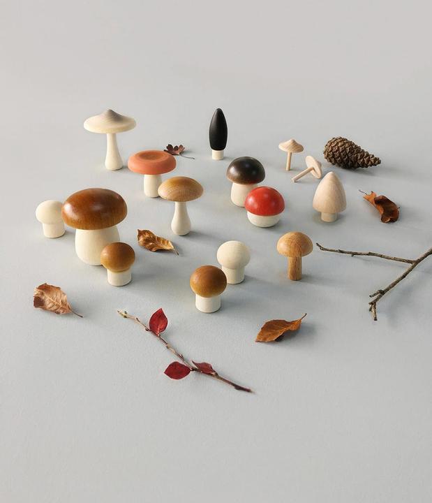 Produktbild Moon Picnic Holzpilze 15-er Set im Korb