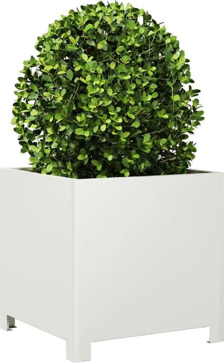 Immagine prodotto vidaXL Pflanzkübel