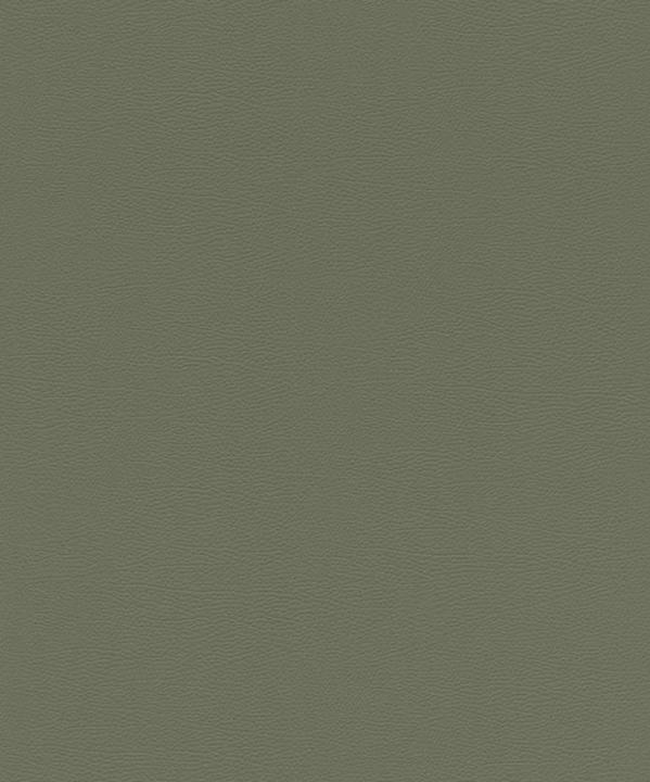 Rasch Vinyl Behang Vlies Base 752687 Groen Leer