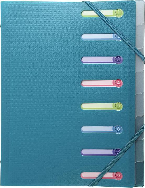 Actual product image Exacompta Stapled file folders (A4, 1 x)