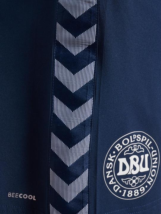 Actual product image hummel Short Training Denmark 2022/23 (L)