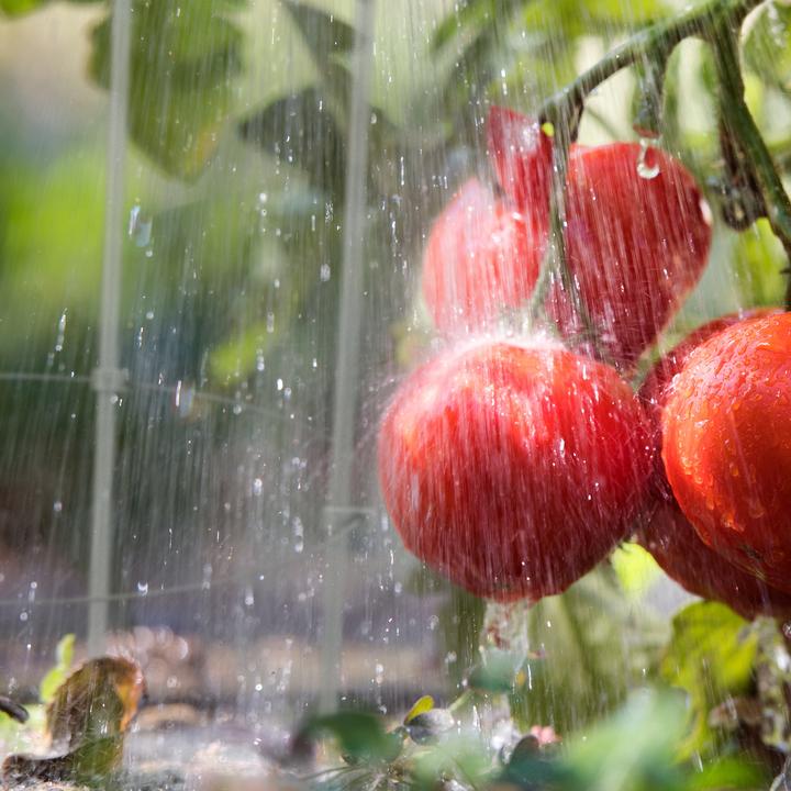 Immagine prodotto Relaxdays 2x aiuto per l'arrampicata (28 cm, 28 cm)