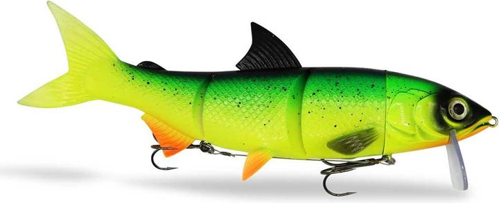 Immagine prodotto Fishing Ghost FishingGhost Renky One (25 cm)