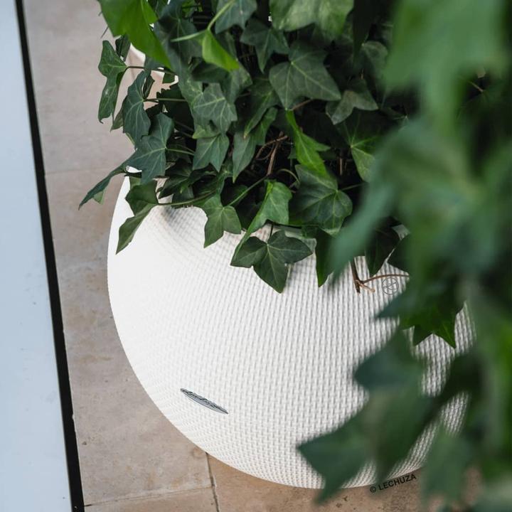 Produktbild Lechuza PURO Color 50 (49 cm)