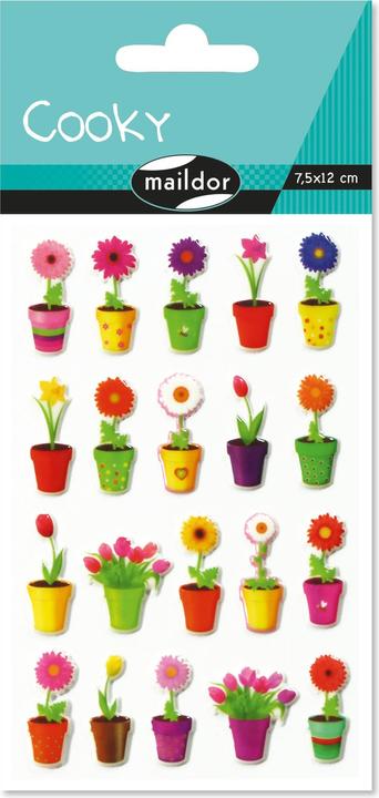 Produktbild My Mandarine Cooky