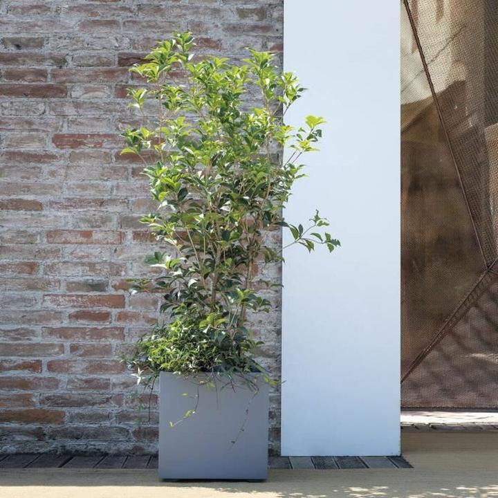 Produktbild Deroma Blumentopf