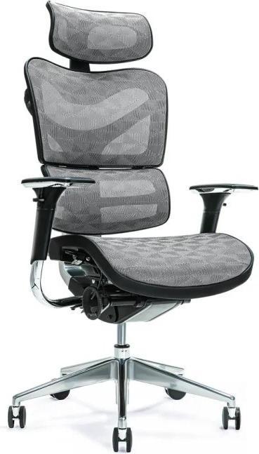 Actual product image Bemondi Ergo 700 (47 - 56 cm)