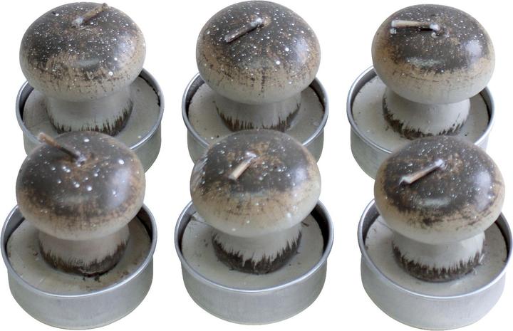 PBS Austria Teelicht Set Pilz 6 Stück braun (1 Stk.)