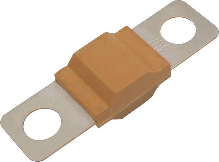 Tru Components TC-13545872 Sicherung 30 A 80 V/DC Inhalt 10 St. Bulk (30 A)