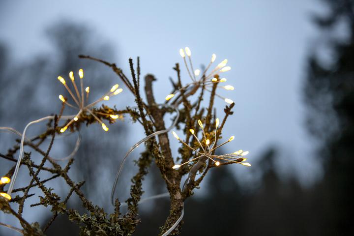 Actual product image Star Trading Dew Drop Flower light chain (2.10 m)