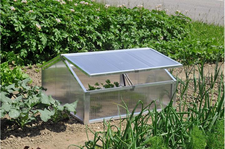 Neogard Ridge cold frame PC transp.