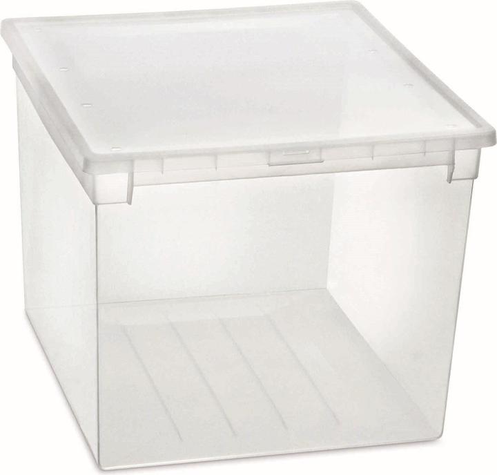 Immagine prodotto Terry Store-Age Light Box 52XXL (50 l)