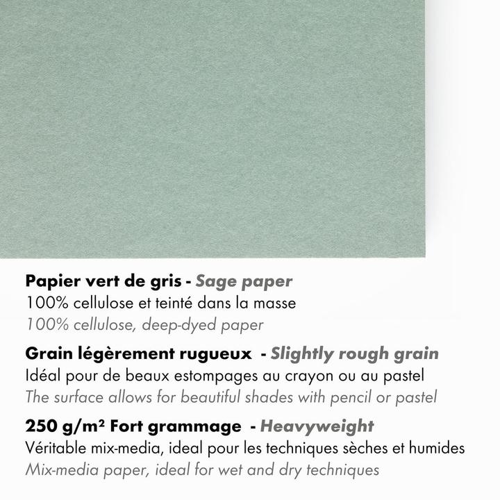 Actual product image Clairefontaine Multi-technology (250 g/m², 30x)