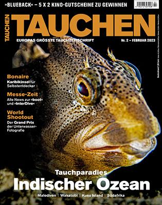 Tauchen (12 Monate, Physisch)