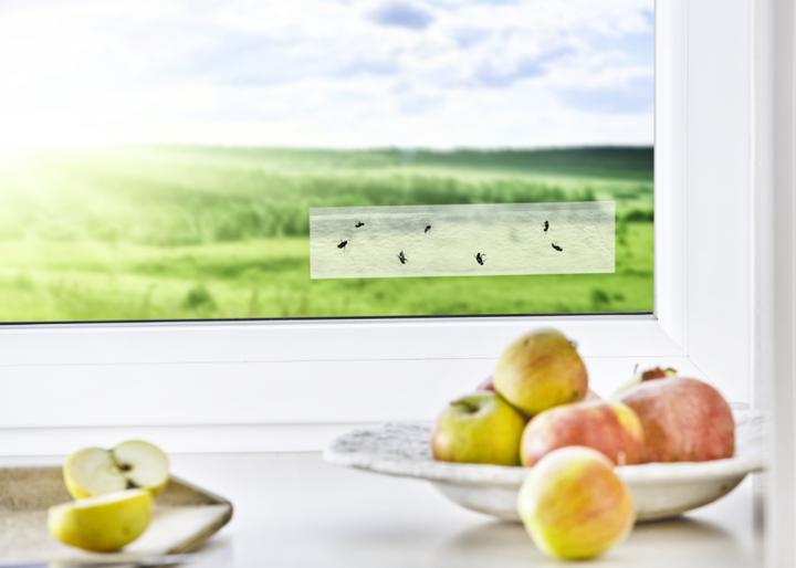 Actual product image Windhager Window fly trap