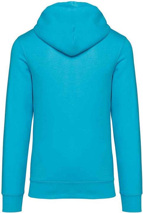 Actual product image Native Spirit Unisex Adult Heavyweight Hoodie (L)
