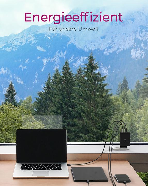 Produktbild Icy Box USB Power Delivery Netzteil, 100 Watt, 2x Type-C®, 2x Type-A, EU, UK, US Stecker (100 W, 2 Ports)