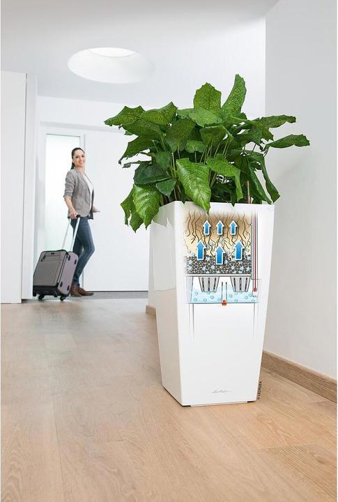 Produktbild Lechuza Cubico (39.50 cm)