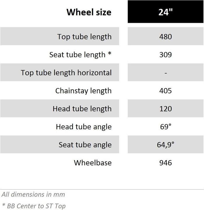 Actual product image Serious Rockaway (24")