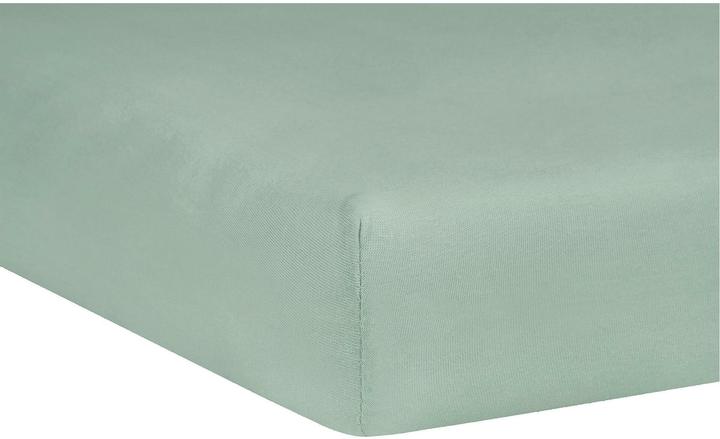 Produktbild Julius Zöllner Salbei (140 x 70 cm)