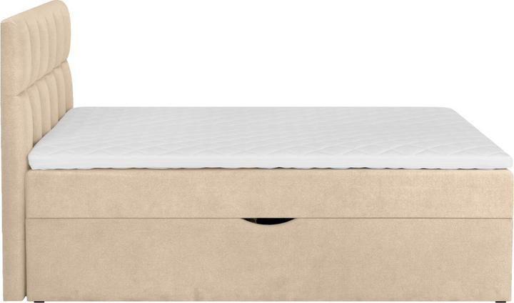 Image du produit Livetastic Lorie (180 x 200 cm)