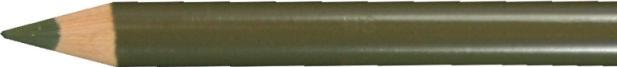 Produktbild Faber-Castell Farbstift Polychromos olivgrün gelblich 173 (Olivgrün gelblich, 1 x)