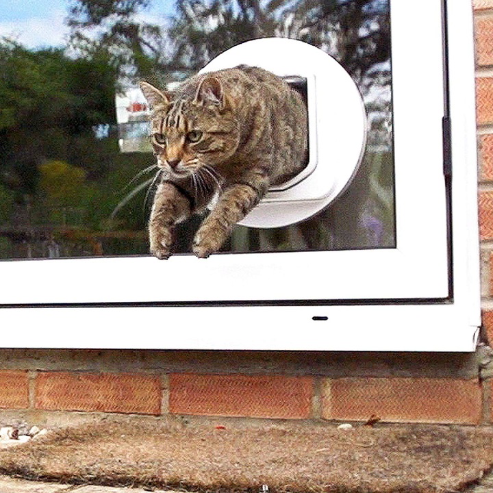 Productafbeelding SureFlap Kattendeur met dubbele scan (Microchip kattenluikje)