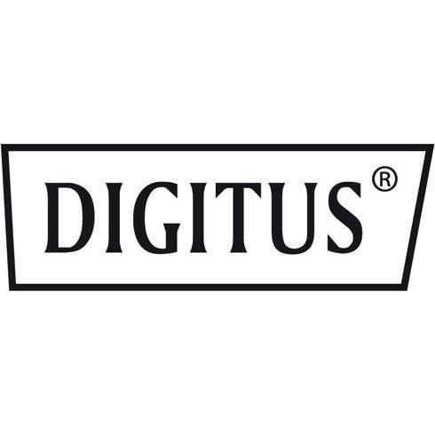 Digitus DN-19 DOOR-09-U-S-1 (19 Zoll Rack), Serverschrank