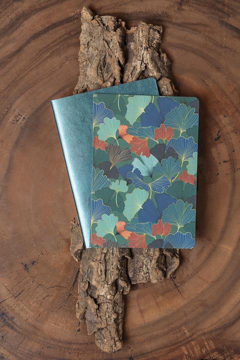 Image du produit Clairefontaine Ginkgo Set 2 Notizhefte (A5, À rayures, Couverture souple)