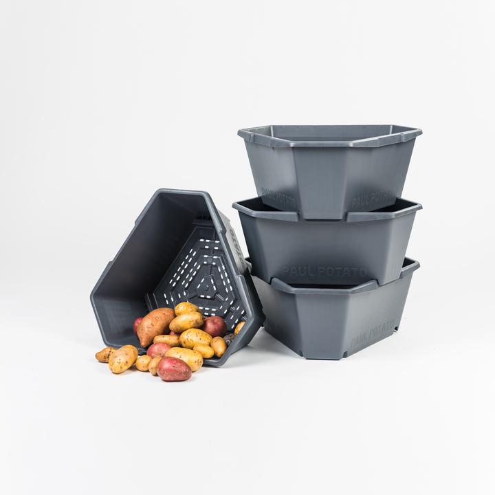 Actual product image Gusta Garden Paul Potato (38.80 cm)