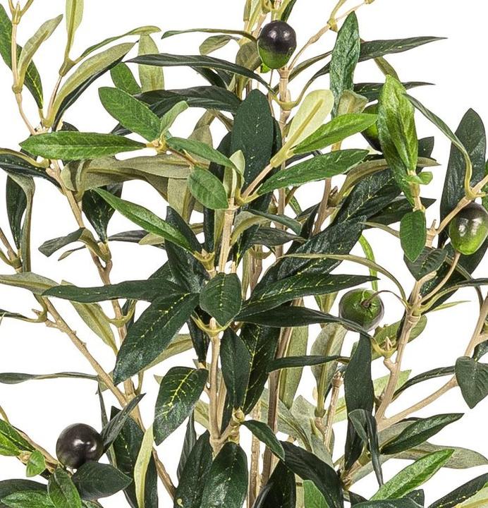 Actual product image Botanic-Haus Olive (41 cm)