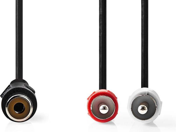 Image du produit Nedis Câble pour caisson de basses 2 x RCA mâle - RCA femelle 0,2 m (0.20 m, RCA)