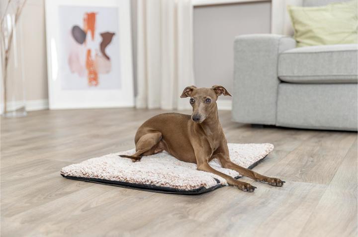 Actual product image Trixie Hunde-Liegematte Calida 80 cm x 55 cm (Dog)