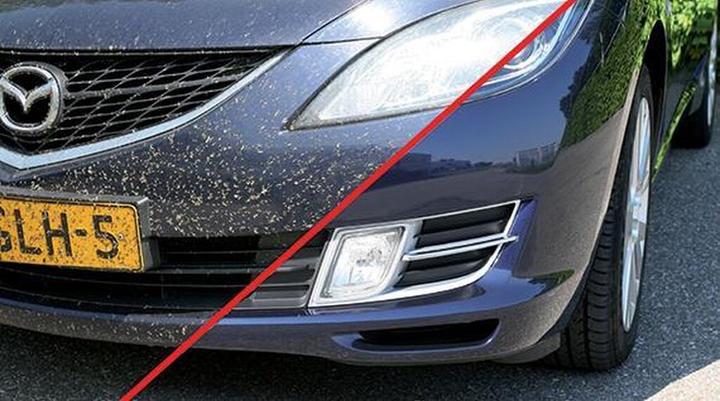 Immagine prodotto Extreme Clean Rimuovi insetti per la cura dell'auto (500 ml)