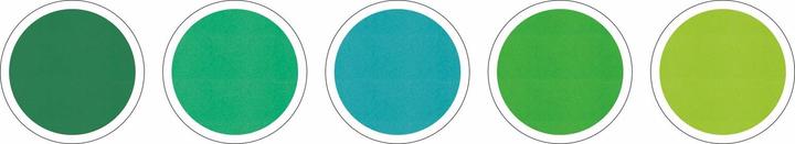 Actual product image Folia Foam rubber set tone on tone green