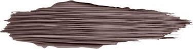 Produktbild Max Factor Brow Revival (005 Black Brown)