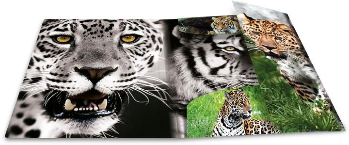 Produktbild HERMA Sammelmappe A3 Motiv (A3, 1x)