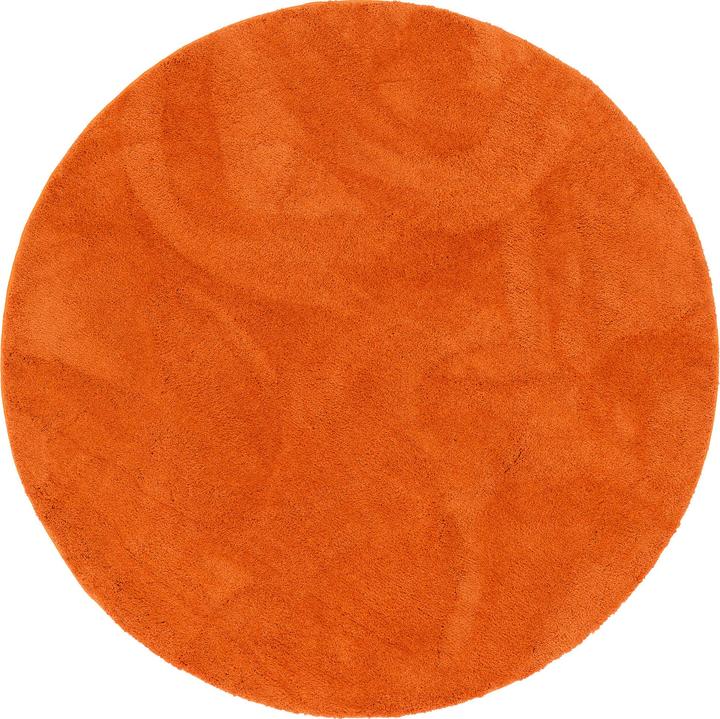 Arancia