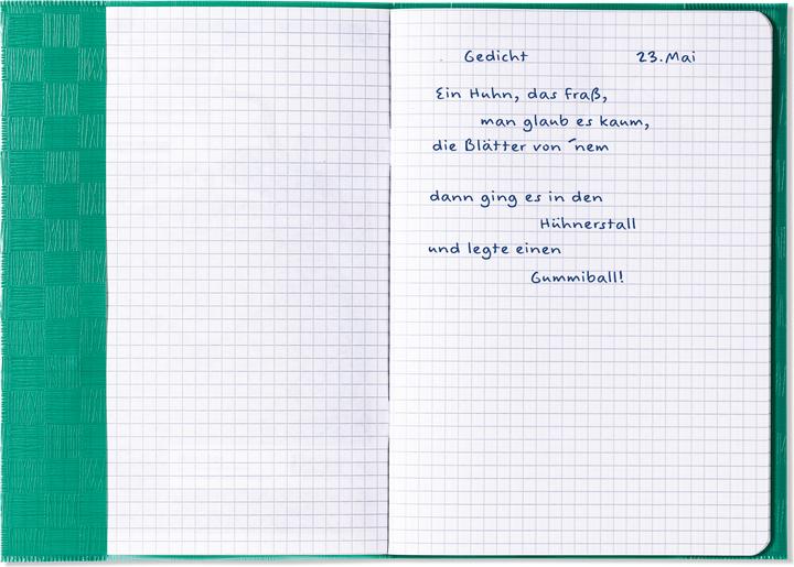 Actual product image HERMA Folder protector, DIN A5, made of PP, dark green covered (A5)