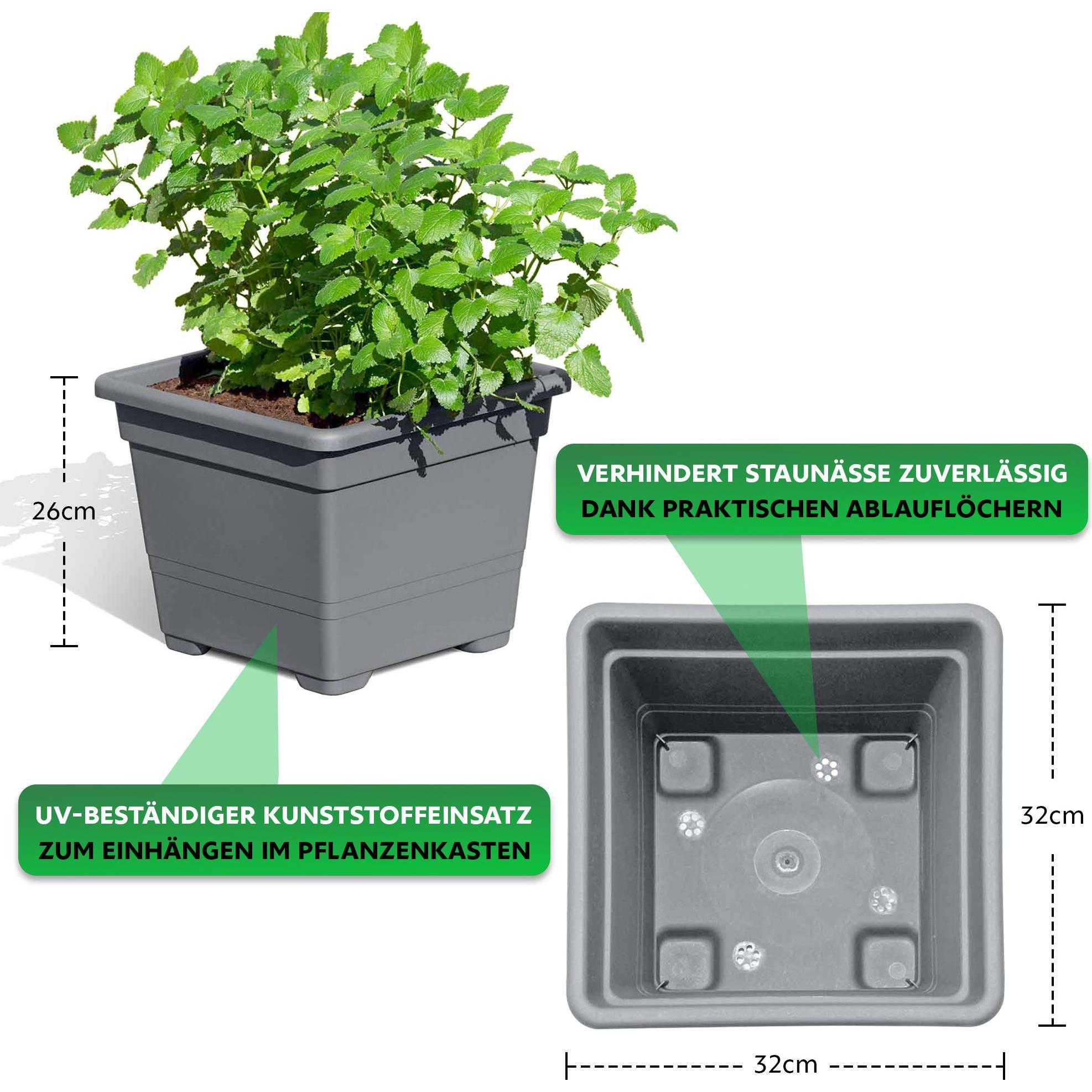 Thumbnail - Endorphin, Blumentopf, Pflanzkasten 2er Set aus Lärchenholz (69 x 38 x 30cm) (38 cm)