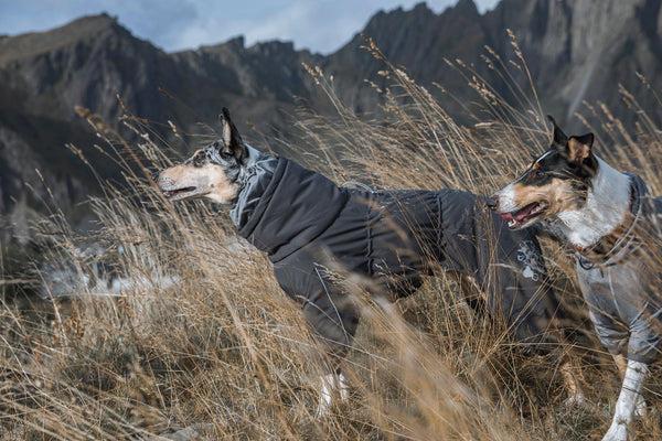 Immagine prodotto Hurtta Extreme Overall (60, Cappotto per cani)