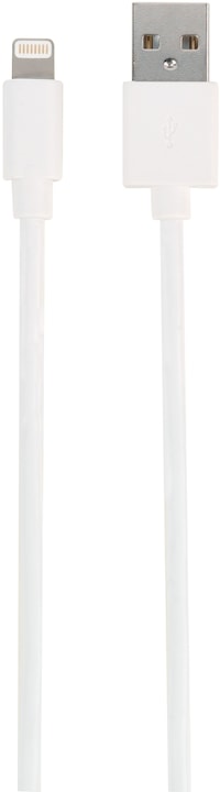 Actual product image Vivanco USB A – Lightning (1 m, USB 2.0)