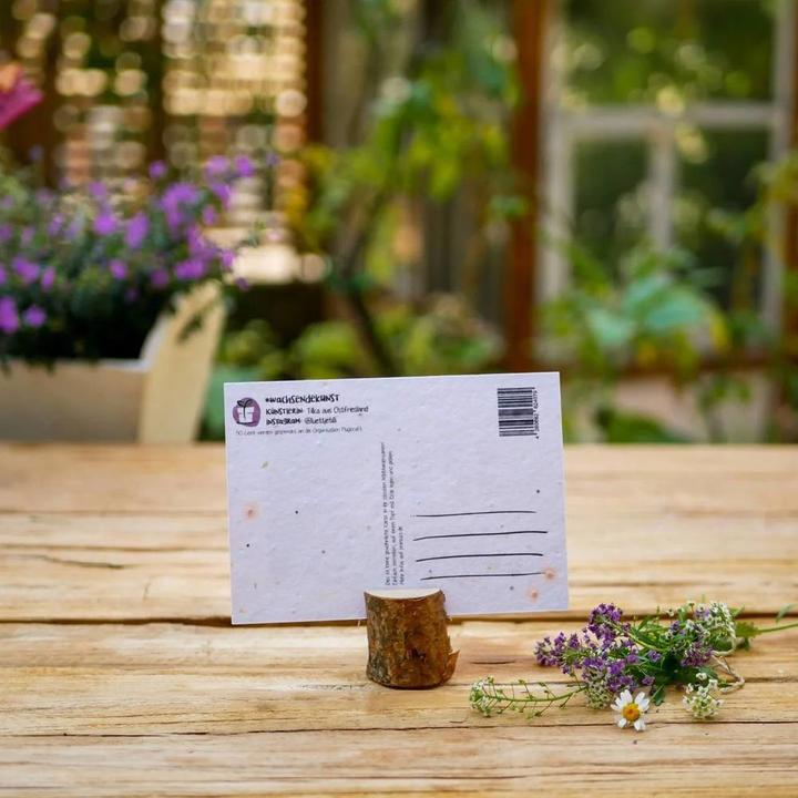 Image du produit Einfach Weniger Carte de Noël - carte postale à planter avec des graines de fleurs colorées (Oh, deer Christmas is (1 pcs)