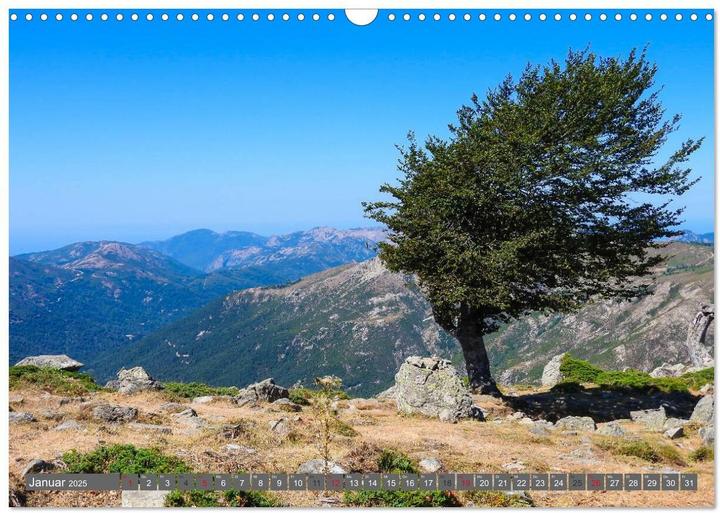 Produktbild Weitwandern auf Korsika GR 20 (Wandkalender 2025 DIN A3 quer), Monatskalender (A3)
